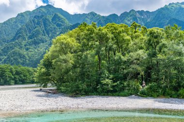 Nehir ve yaz orman manzara, Japonya'da Kamikochi yolu