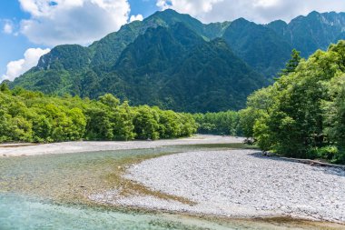 Nehir ve yaz orman manzara, Japonya'da Kamikochi yolu