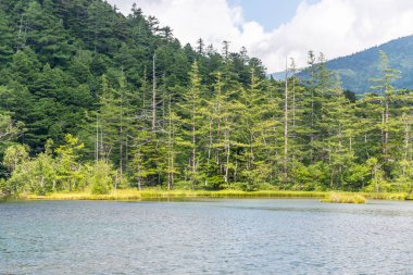Hotaka arka tapınak Kamikochi, Nagano, Japonya içinde gölette Myojin.