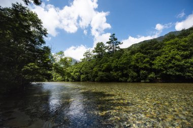 Nehir ve yaz orman manzara, Japonya'da Kamikochi yolu