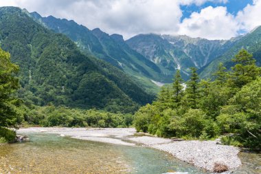 Nehir ve yaz orman manzara, Japonya'da Kamikochi yolu