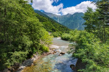Nehir ve yaz orman manzara, Japonya'da Kamikochi yolu
