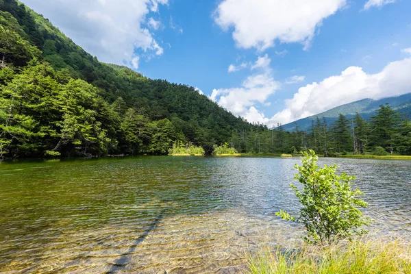 Hotaka arka tapınak Kamikochi, Nagano, Japonya içinde gölette Myojin.