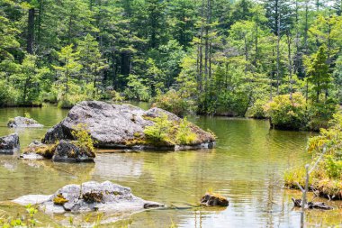 Hotaka arka tapınak Kamikochi, Nagano, Japonya içinde gölette Myojin.