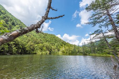 Hotaka arka tapınak Kamikochi, Nagano, Japonya içinde gölette Myojin.