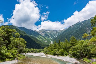 Nehir ve yaz orman manzara, Japonya'da Kamikochi yolu