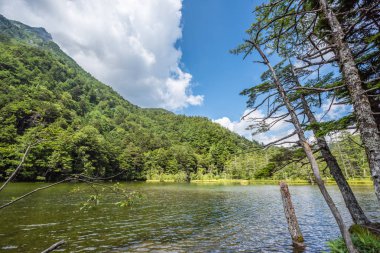 Hotaka arka tapınak Kamikochi, Nagano, Japonya içinde gölette Myojin.