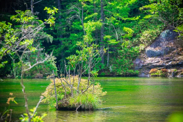 Myojin vijver bij Hotaka achterzijde heiligdom in Kamikochi, Nagano, Japan. — Stockfoto