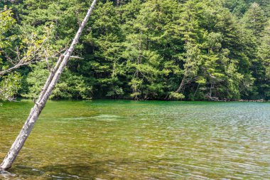 Hotaka arka tapınak Kamikochi, Nagano, Japonya içinde gölette Myojin.
