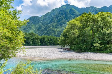 Nehir ve yaz orman manzara, Japonya'da Kamikochi yolu