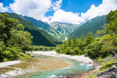 Nehir ve yaz orman manzara, Japonya'da Kamikochi yolu