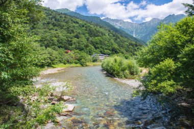 Nehir ve yaz orman manzara, Japonya'da Kamikochi yolu