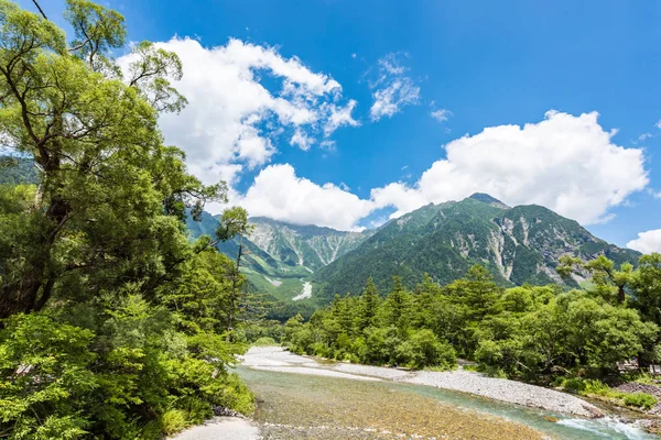 Nehir ve yaz orman manzara, Japonya'da Kamikochi yolu