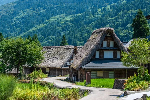 Gokayamova historická vesnice v Gassho stylu domy — Stock fotografie