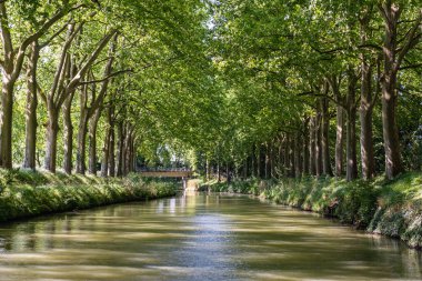 Toulouse Canal du Midi kanalında yaz görünümü, güney Frangı
