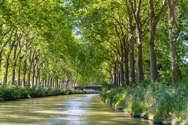 Toulouse Canal du Midi kanalında yaz görünümü, güney Frangı