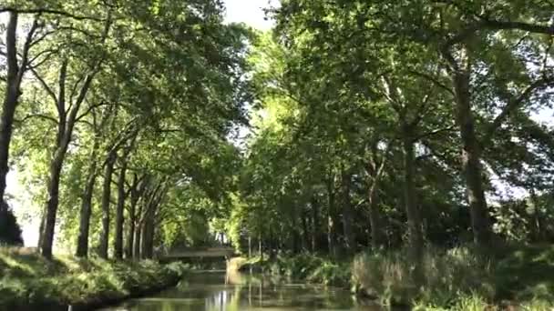 夏季看米迪运河在图卢兹，南法郎 — 图库视频影像