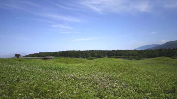 Parco nazionale di Shiretoko situato nella penisola di Shiretoko nell'est del Giappone Hokkaido — Video Stock