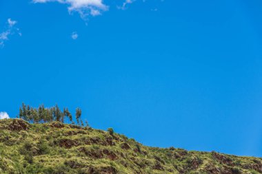Kutsal vadi ve Pisac ağacı, Cuzco Peru yakınlarında.