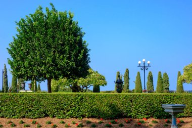 yeşil ağaçlar ve mavi gökyüzü güzel park
