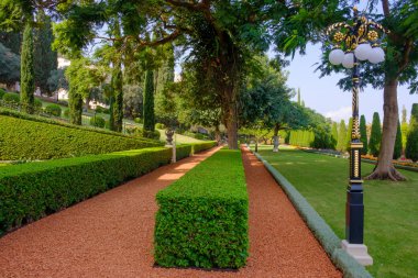 yeşil ağaçlar ve mavi gökyüzü güzel park