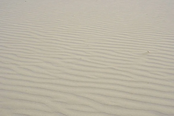 テクスチャと背景と砂およびイスラエル共和国の内陸海 — ストック写真
