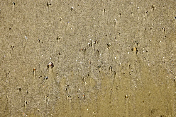 Tekstury Tła Piasku Morza Śródziemnego Izraelu — Zdjęcie stockowe