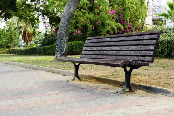 Banco Parque Marrón Pie Carretera — Foto de Stock