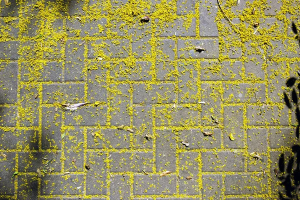 Textura Una Piedra Pavimentada Calle Salpicada Pétalos Amarillos — Foto de Stock