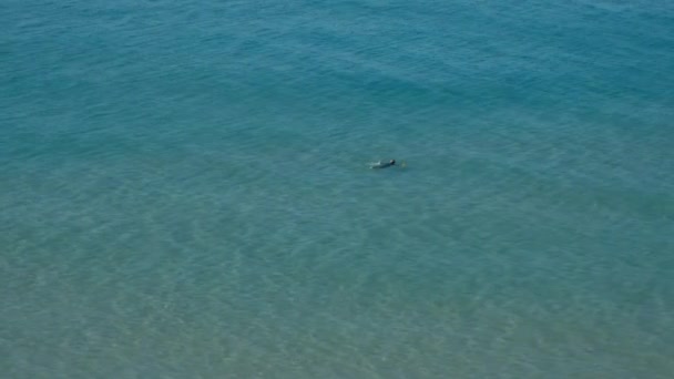 Mar Azul Ondas Céu — Vídeo de Stock