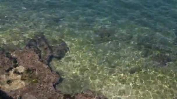 海水清石 — 图库视频影像