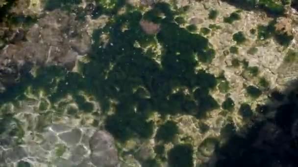 Eau Mer Limpide Méditerranée — Video