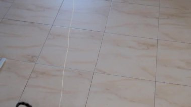 kedi yavrusu küçük gri güzel aktif sevimli bir dize üzerinde bir şeker sarıcı ile oynarken