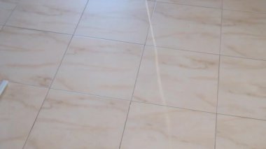 kedi yavrusu küçük gri güzel aktif sevimli bir dize üzerinde bir şeker sarıcı ile oynarken