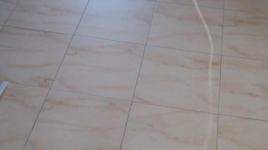 kedi yavrusu küçük gri güzel aktif sevimli bir dize üzerinde bir şeker sarıcı ile oynarken