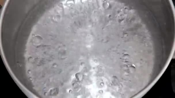 鍋に沸騰したお湯にスプーン1杯の塩を加える — ストック動画