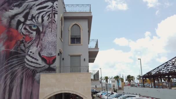 Graffiti Testa Tigre Sul Muro Edificio Residenziale Nella Città Vecchia — Video Stock