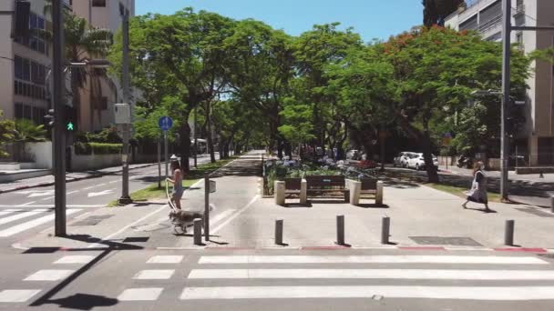 Israel Rothschild Boulevard Tel Aviv Травня 2020 Велосипедисти Їздять Пішохідному — стокове відео