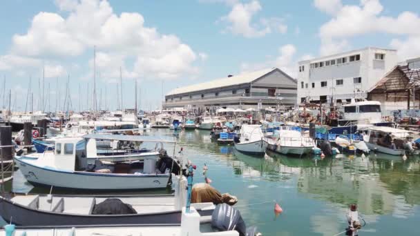 Israel Tel Aviv Maio 2020 Barcos Pesca Estacionados Porto Cidade — Vídeo de Stock