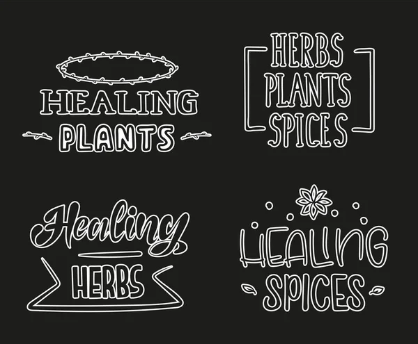 Healing Herbs Plants Spices Set Hand Drawing Illustration — Stock Vector