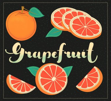 Vektör greyfurt setiyle arka plan. Harf. 