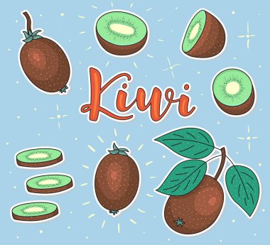 Vektör el çizilmiş kivi setiyle arka plan. Harf. 