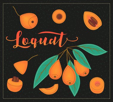 Loquat ile arka plan. el çizimi resimleme.