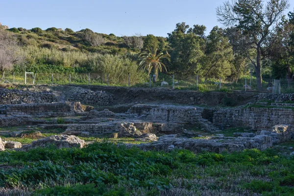 Ruinas Fortaleza Ashkelon Israel — Foto de Stock