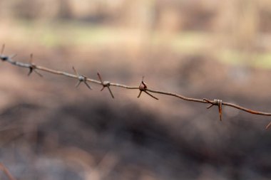 Dikenli tel. Endişe verici hissetmek için çit üzerinde dikenli tel.