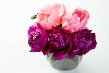 Beyaz arka plan üzerinde bir vazo açık ve koyu pembe şakayık