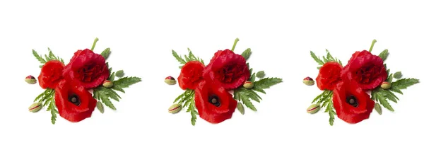 Red poppies over a white background. Border floral design for an angle of page. Closeup of the flowers with focus and blur effect — Stock Photo, Image