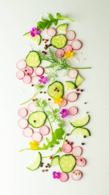 Salata için Malzemeler: salatalık, turp, dereotu, arugula, biber, üst görünümü. Düz sağlıklı yaşam tarzı veya detoks yatıyordu.