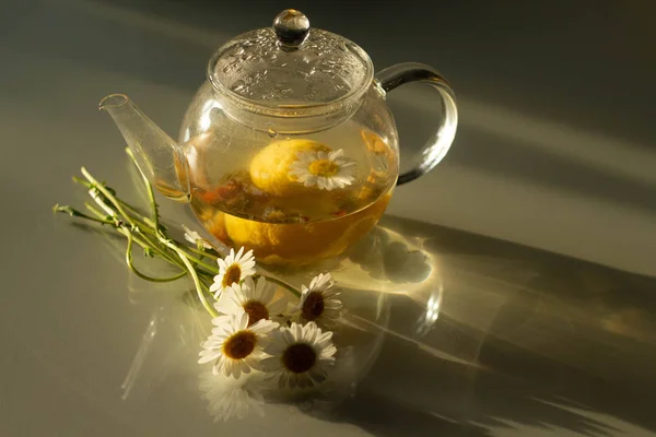 Herbata rumianku w przezroczystej czajniczek i białych kwiatów stokrotka w świetle słońca na szklanym stole. Ciepłe, miękkie żółte światło. Ekologiczne herbaty dla zdrowia. — Zdjęcie stockowe