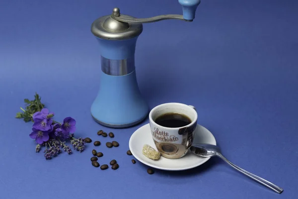 Minimalistc obraz filiżankę kawy i białe tulipany na niebieskim tle. Koncepcja wiosna kawy. Widok z góry, płaskie świeckich. — Zdjęcie stockowe